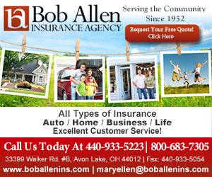 Bob Allen Insurance Agency Inc.
