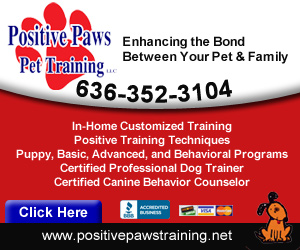 Positive Paws Pet Training