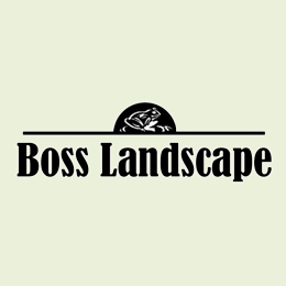 Boss Landscape