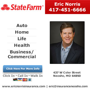 Eric Norris State Farm Insurance Agency