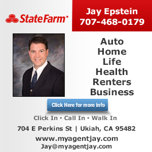 Jay Epstein - State Farm Insurance Agent