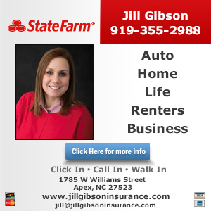 Jill Gibson - State Farm Insurance Agent
