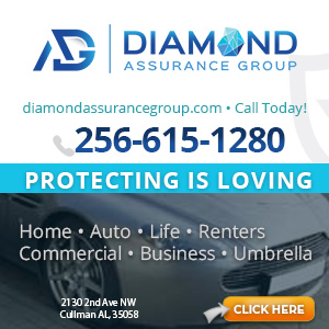 Diamond Assurance Group