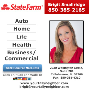 Brigit Smallridge - State Farm Agent