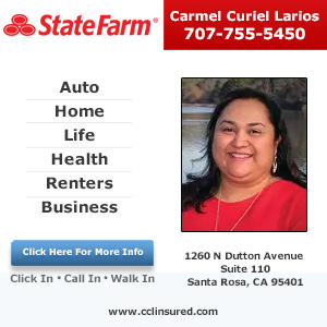 Carmel Curiel Larios - State Farm Insurance Agent