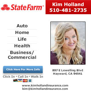 Kim Holland - State Farm Insurance Agent