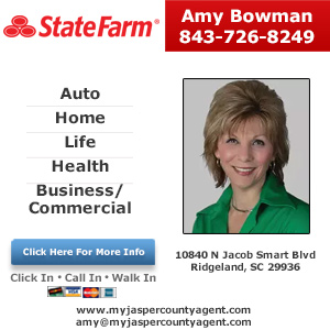 Amy Bowman - State Farm Insurance Agent